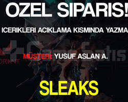 +16 LEVEL ÖZEL SİPARİS