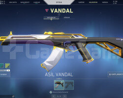 MAİLLİ ASİL VANDAL + ONİ PHANTOM MEMURDAN