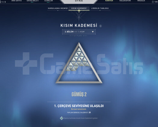 DOLU GÜMÜŞ 3 HESAP