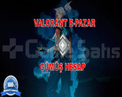 DOLU GÜMÜŞ 3 HESAP