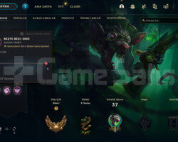 TR/Altın 1 - 32 Şampiyon - 5 Skin +18LP