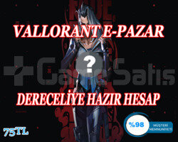 PİYASAYA UYGUN RANKED HESAP