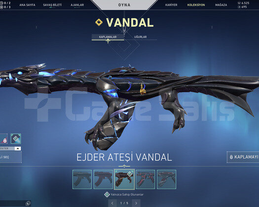 EJDER VANDAL VE KARAMBİT BIÇAKLI TR HESAP