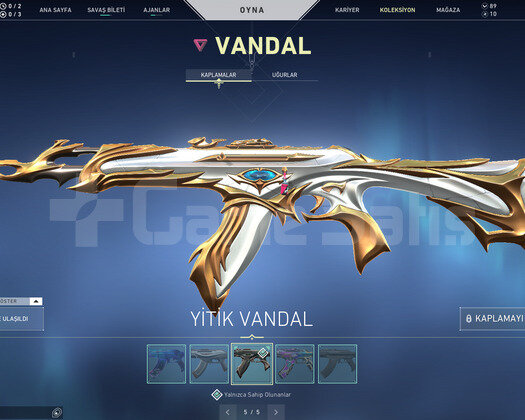YAĞMACI OPERATOR VE YİTİK VANDAL TR HESAP