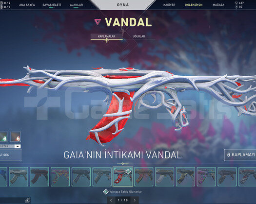Champion Sett/15 Bıçak/18 Vandal/9 Phantom/Dopdolu