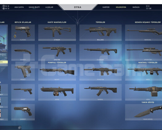 Valorant dia 2 smurf hesap