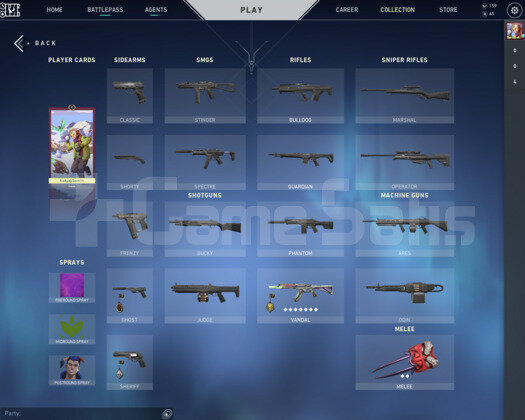 GOLD ELO ONİBIÇAK+IŞIK MUHAFIZI VANDAL