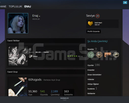 Steam 20 Level Csgo1.5k saatli Hesap