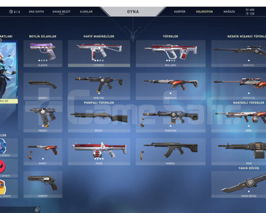 Valorant Battle Pass  Hesap Kaçırma