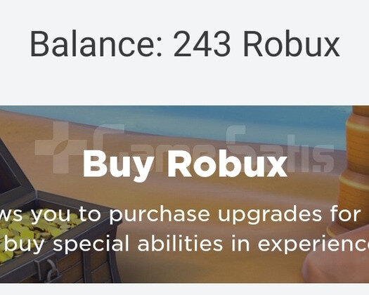 243 Robuxlu Hesap