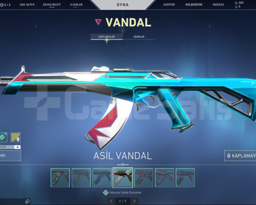 TR 6 VANDAL YAĞMACI KARMABİT+PHANTOM + HEDİYE