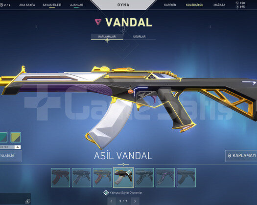 ASİL - YAĞMACI VANDAL VE KARAMBİTLİ HESAP