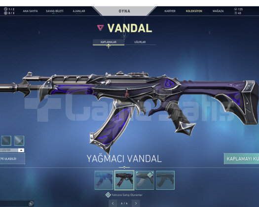 VALORANT ASİL YAĞMACI VANADAL VAR BATTLE PAS HESAP