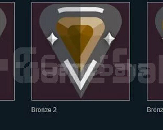 TR BÖLGE/ 1 ADET EĞLENCELİK BRONZ HESAP