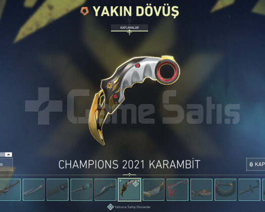 Rgx Vandal / Champion Karambit / Oni Phantom EFSO