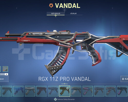 Rgx Vandal / Champion Karambit / Oni Phantom EFSO