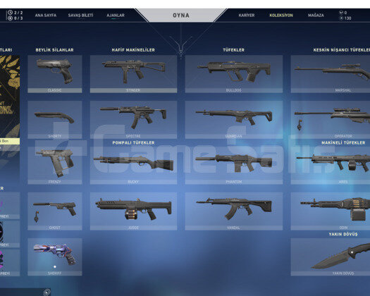 Valorant dia 2 smurf hesap TR