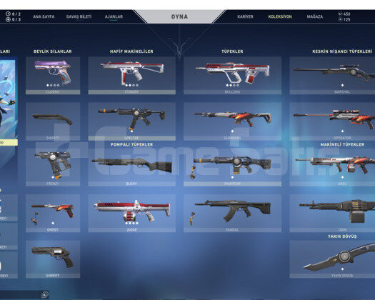 VALORANT BATTLE PAS HESAP ÇEREZLİK