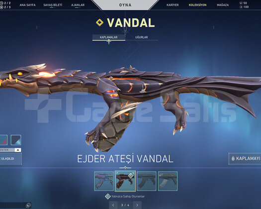 YAĞMACI KARAMBİT VE EJDER VANDAL TR HESAP