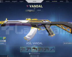 KARAMBİT VE ASİL VANDAL ALTIN HESAP