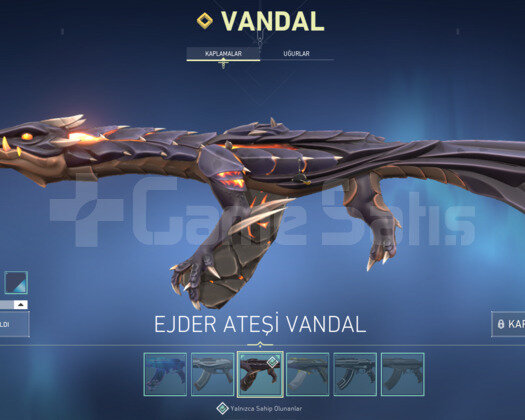 Ejder Asil Vandal/ Asil Oni Phantom / Bıçaklı Dolu