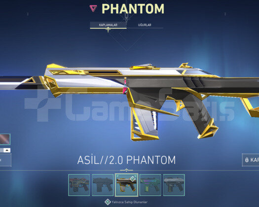 Ejder Asil Vandal/ Asil Oni Phantom / Bıçaklı Dolu