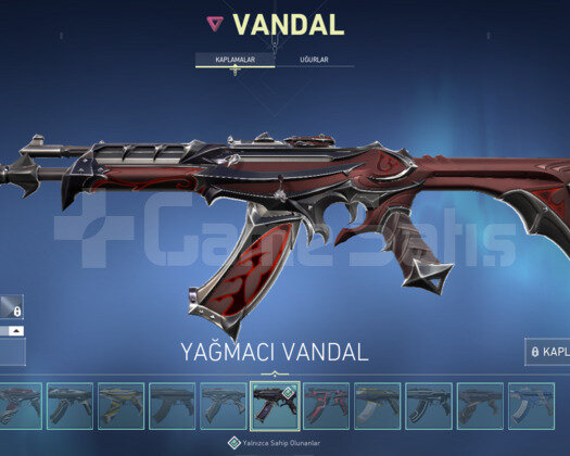 Rgx Set/ 10 Vandal/ 8 Bıçak EFSANE HESAP