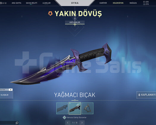YAĞMACI BIÇAK VE ASİL VANDAL UNRANKED TR HESAP