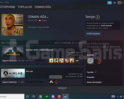 CS GO UYGUNA SEÇKİN HESAP 3 MADALYALI