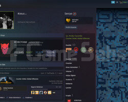steam 20 lvl yeşil faktör lem hesap
