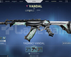 SARMAL OPERATOR VE YAĞMACI VANDAL TR HESAP