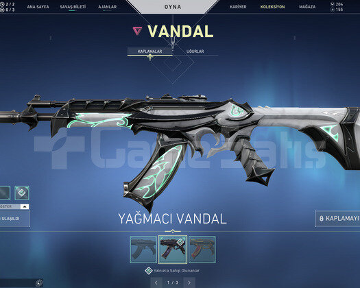 SARMAL OPERATOR VE YAĞMACI VANDAL TR HESAP