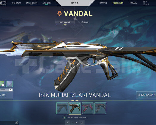 IŞIK MUHAFIZI VANDAL VE HÜCUM OPERATOR TR HESAP
