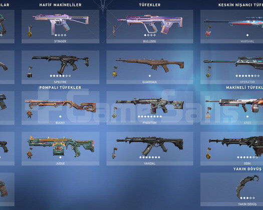500Satış/Yağmacı Sett/Rgx Sett/Dopdolu +100Skin