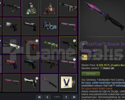 12.000 TL ENVANTERLİ CSGO HESABI