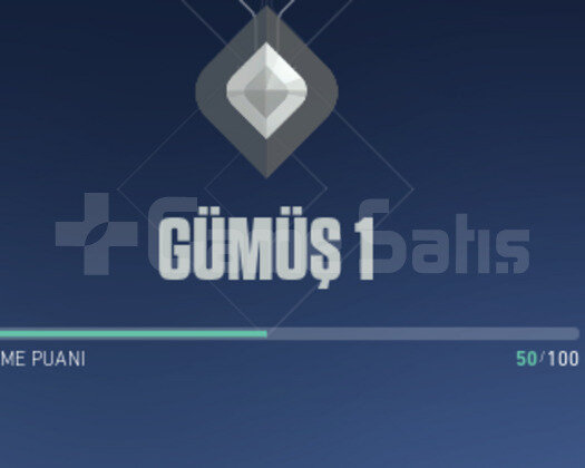 GÜMÜŞ 1 50 KP ÇOK YÜKSEK MMR BÜTCE DOSTU