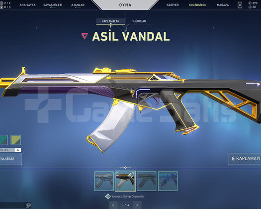 ASİL KARAMBİT VE EJDER OPERATOR TR HESAP