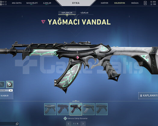 RGX 11Z PRO BIÇAK VE YAĞMACI VANDAL ELMAS HESAP