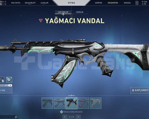 DELİPOP BALTA VE YAĞMACI VANDAL HESAP