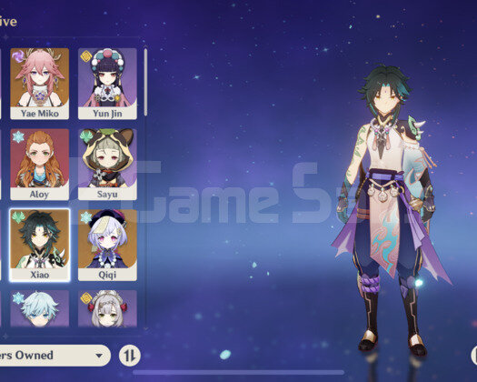 AR49 XIAO+JDSW/XIAO MAIN ACC 6X5