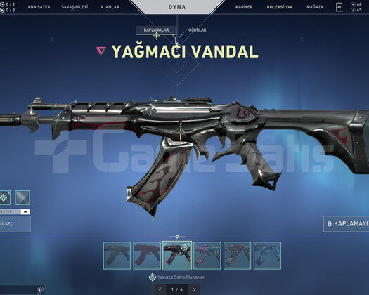 Tr Bölge/Protokol Set/YağmacıDelipopVandal/Dopdolu