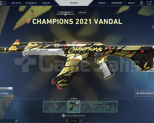 Tr Bölge/Özel Hareket Set/Champion Vandal Ve Phan
