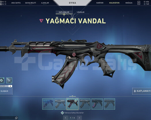 ASİL KARAMBİT VE YAĞMACI VANDAL HESAP
