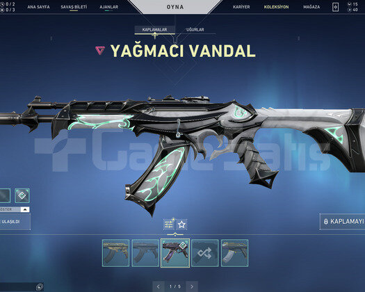 RGX 11Z PRO BIÇAK VE ASİL VANDAL TR HESAP