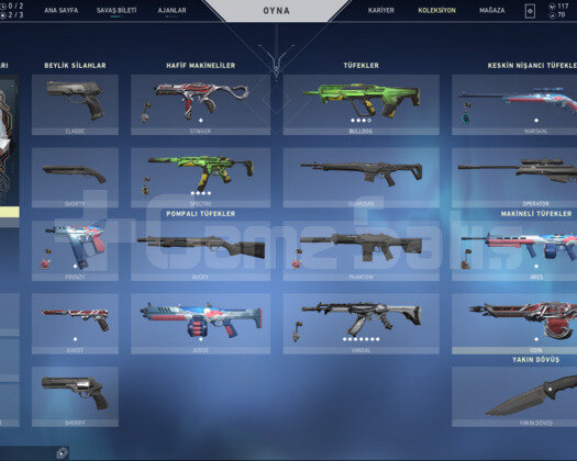 TR SERVER YAĞMACI VANDALLI BOL SKİNLİ