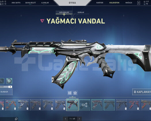TR SERVER YAĞMACI VANDALLI BOL SKİNLİ