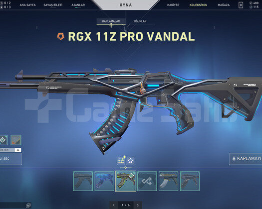 Tr Bölge/Asil Karambit/Rgx Ejder Asil Vandal/Dolu