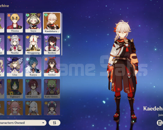 AR 30 Kazuha+pjsp+skyward atlas
