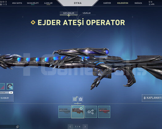 EJDER OPERATOR VE ASİL VANDAL ELMAS TR HESAP
