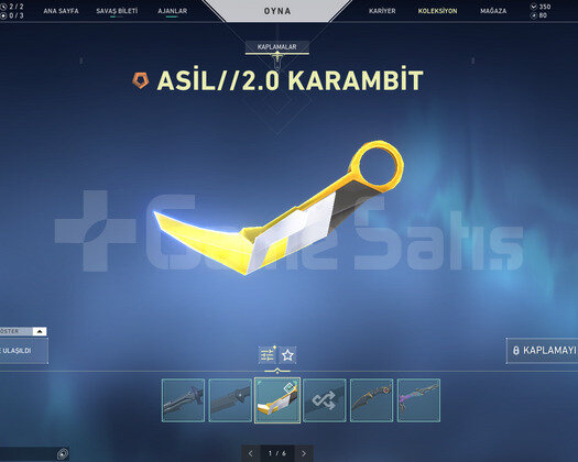 AsilKarambit/YağmacıBıç/Champion Ve Yağmacı Vandal
